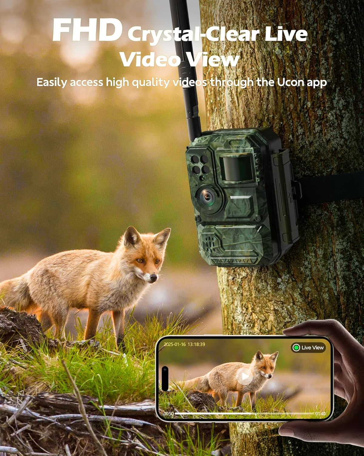 Ultimate 4G LTE Cellular Solar Trail Camera with Live Streaming, Night Vision & Real-Time Wildlife Alerts - Unleash Unlimited Data!