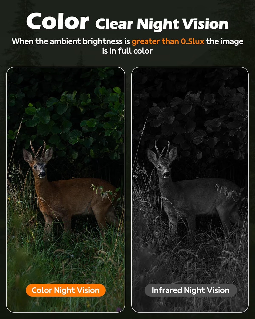 Ultimate 4G LTE Cellular Solar Trail Camera with Live Streaming, Night Vision & Real-Time Wildlife Alerts - Unleash Unlimited Data!