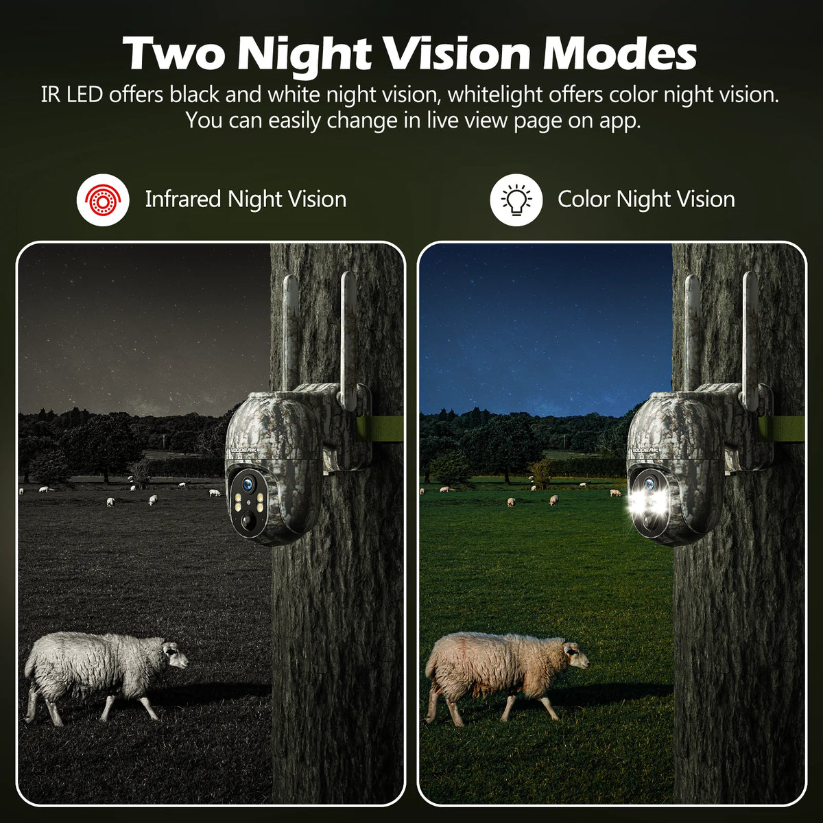 4G LTE Cellular Trail Camera Wireless, Solar Powered Game Camera with 360°Pan 90°Tilt, 1080P HD Night Vision, Motion Activated, Waterproof IP66, Hunting Security Camera with SIM Card, NO Wifi